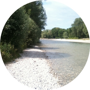 Isar