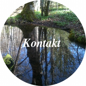 Kontakt